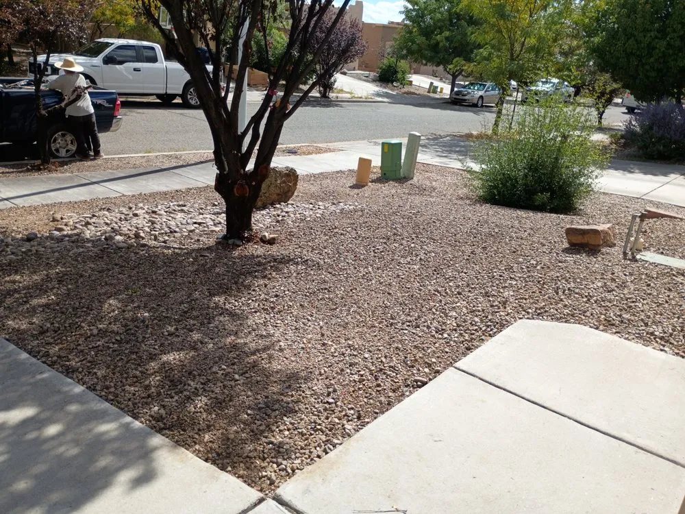 Professional lawn care service in Santa Fe, NM by Anderson Landscape