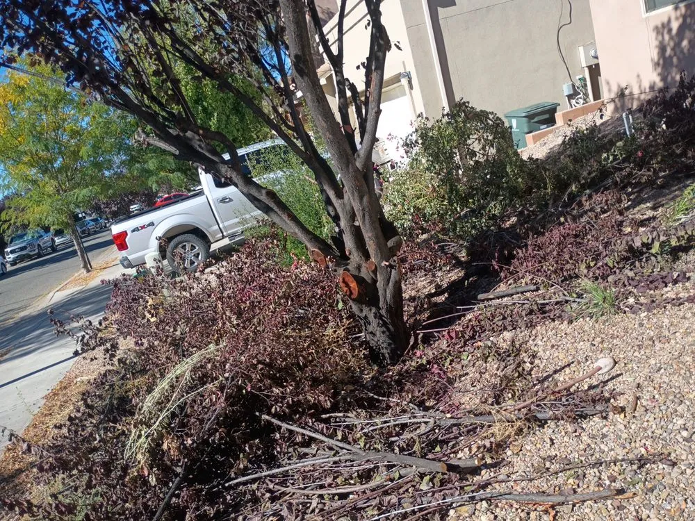 Custom outdoor landscaping in Santa Fe, NM - Anderson Landscape
