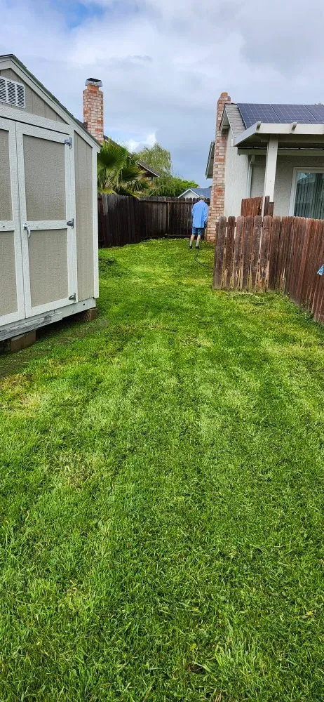 Reliable residential landscaping in Vacaville, CA by Anderson Landscape