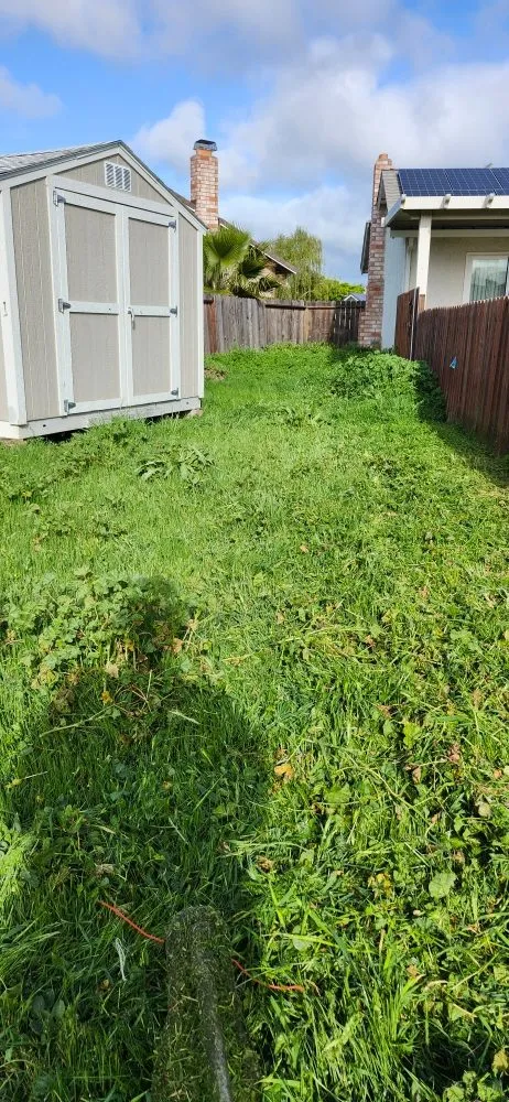 Expert lawn care service for year-round maintenance in Vacaville, CA by Anderson Landscape