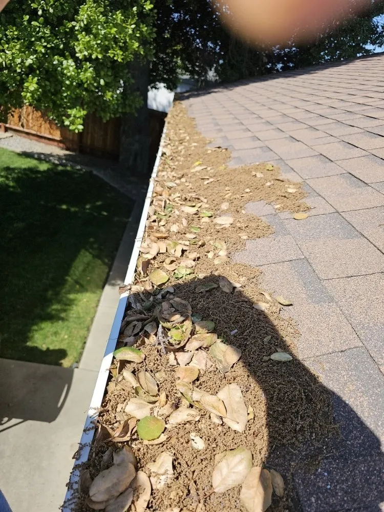 Top-rated garden landscaping in Vacaville, CA - Anderson Landscape