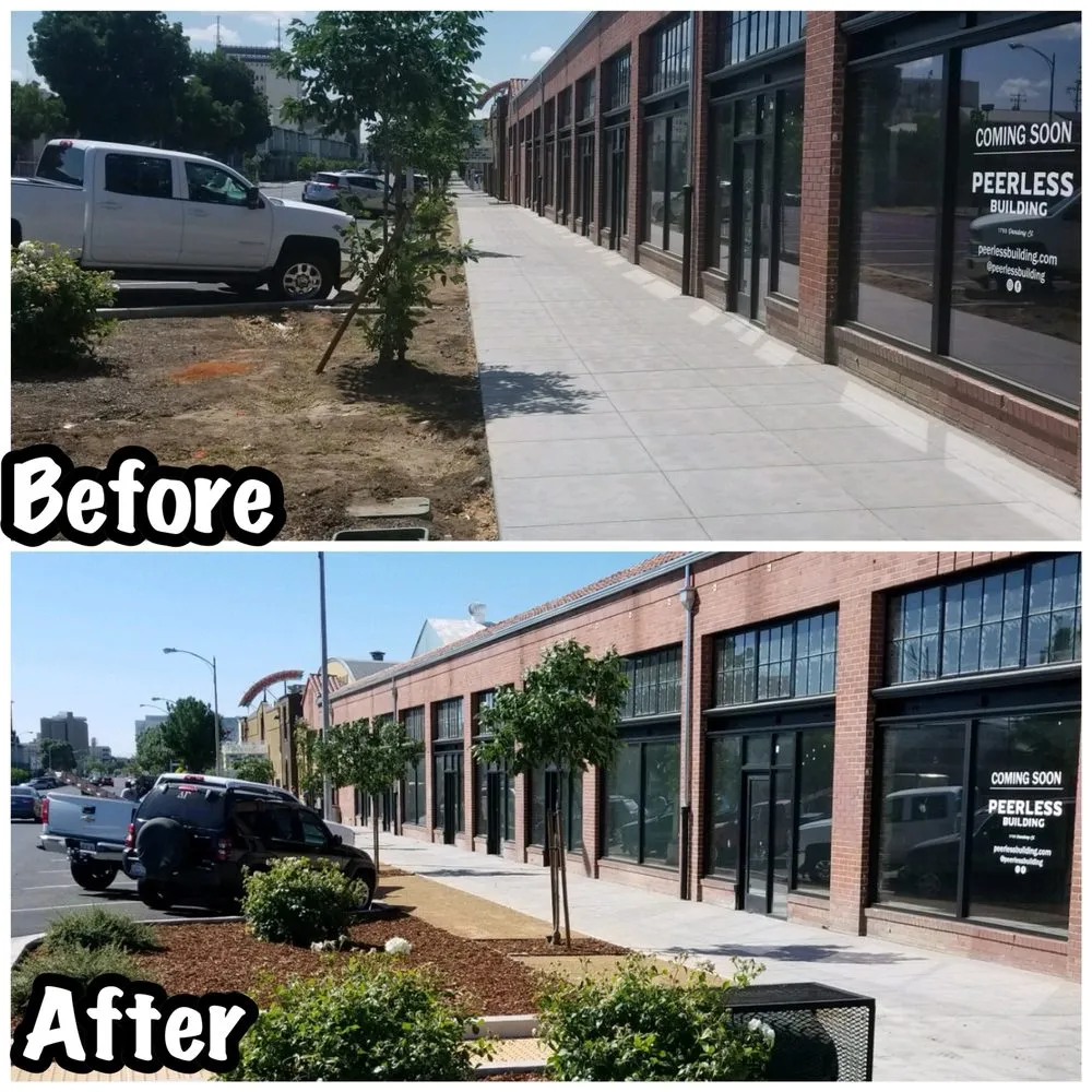 Top-rated yard cleanup service in Fresno, CA - Anderson Landscaping