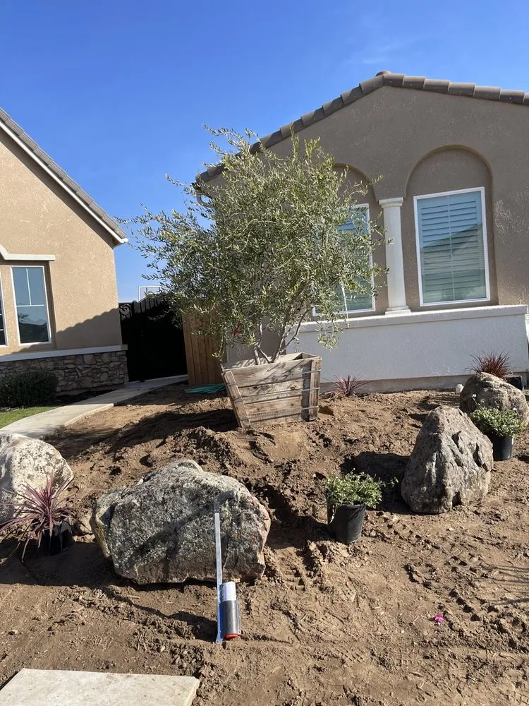 Expert yard cleanup service in Fresno, CA by Anderson Landscaping