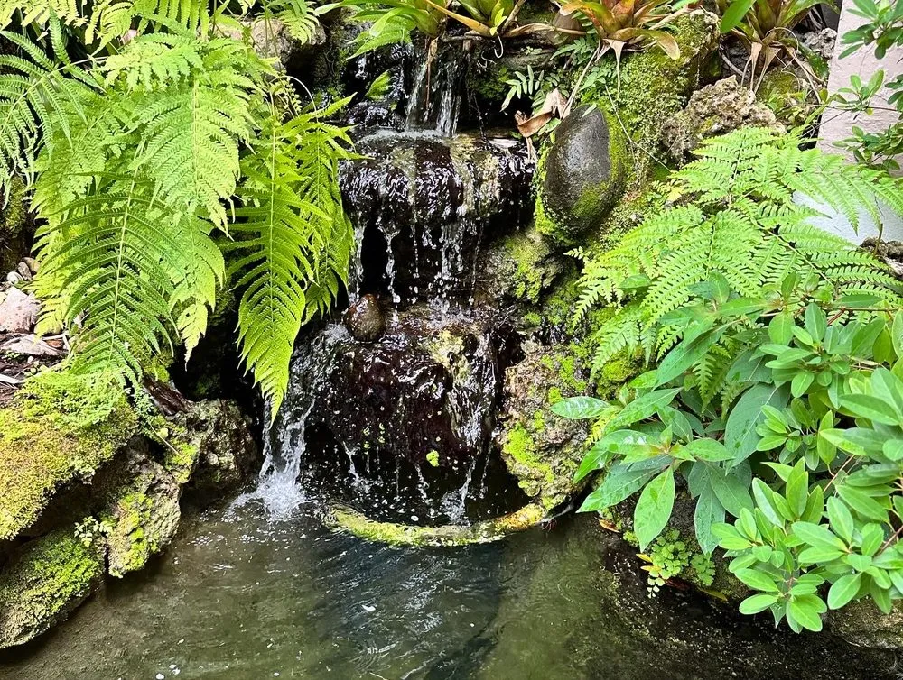 Trusted lawn care service experts serving Homestead, FL - Anderson Landscaping