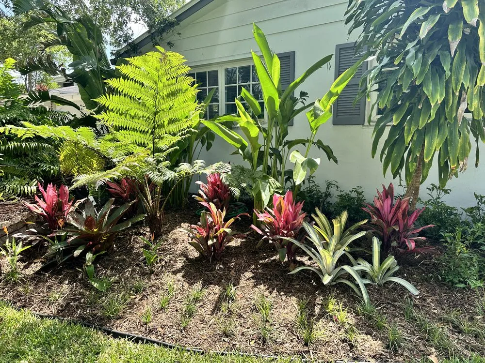 Trusted yard maintenance in Homestead, FL by Anderson Landscaping