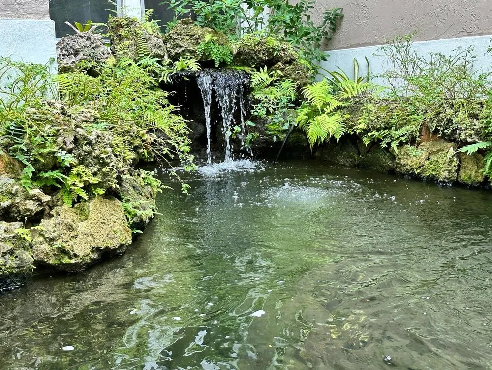 Professional landscape installation experts serving Homestead, FL - Anderson Landscaping