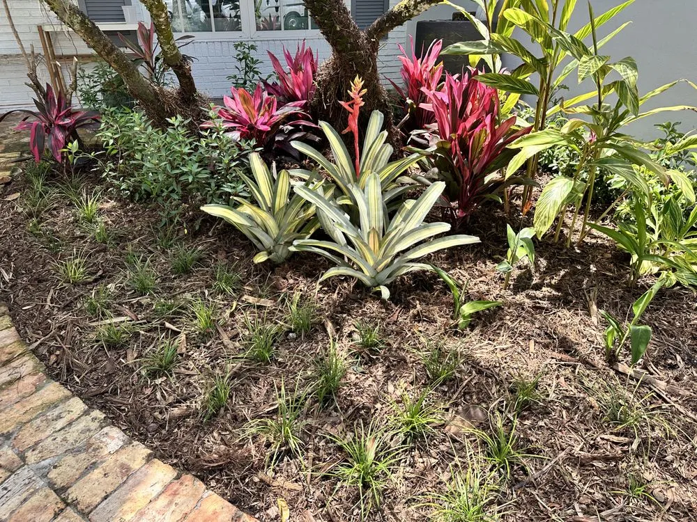 Affordable outdoor landscaping for residential properties across Homestead, FL - Anderson Landscaping