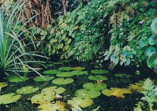 Affordable garden landscaping experts serving Homestead, FL - Anderson Landscaping