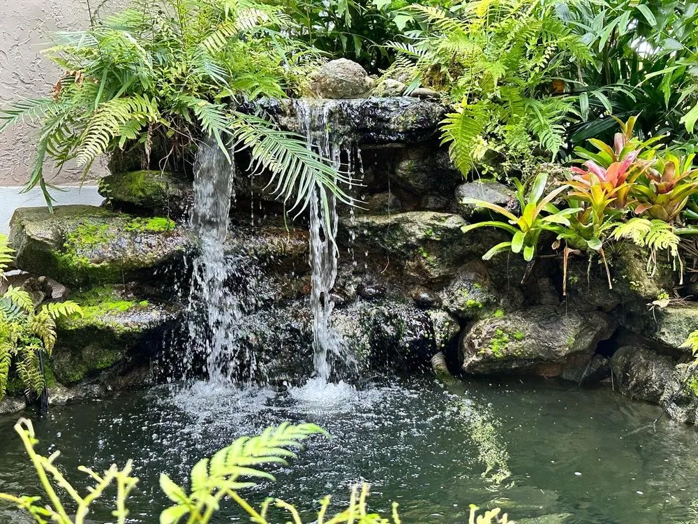 Top-rated outdoor landscaping in Homestead, FL - Anderson Landscaping