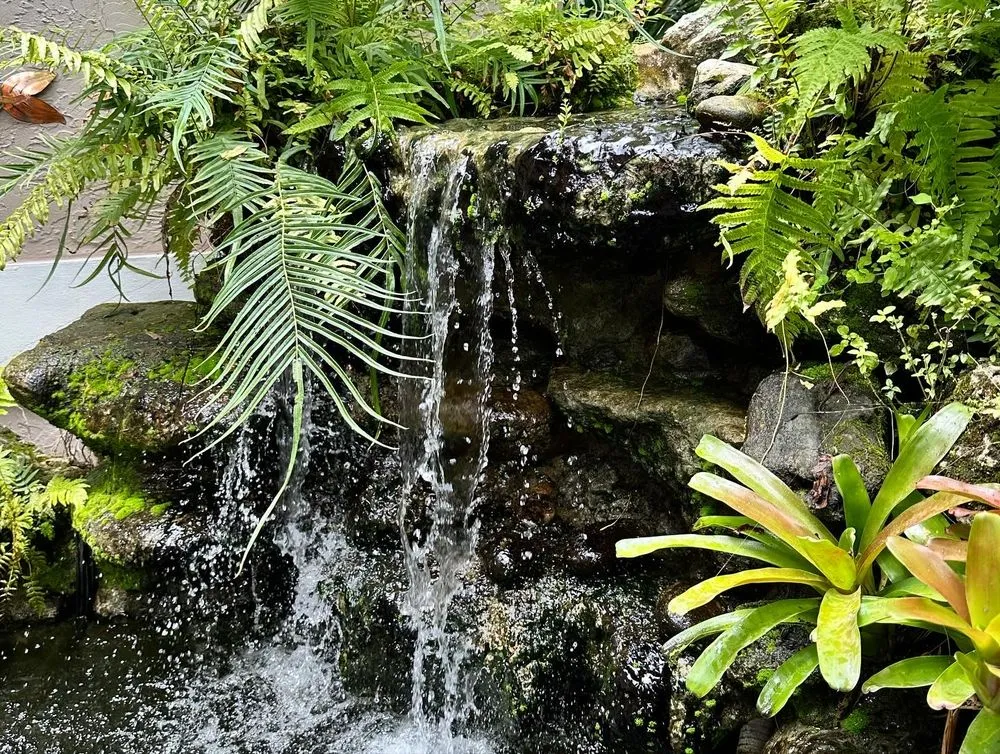 Local landscaping services experts serving Homestead, FL - Anderson Landscaping