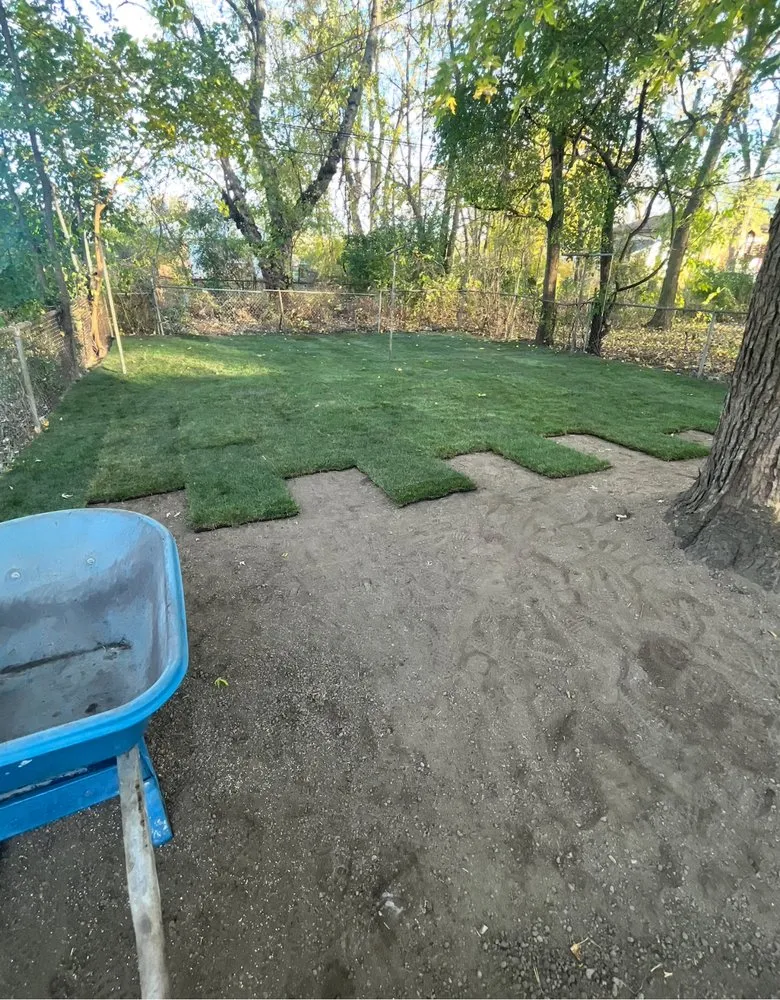 Professional yard cleanup service for outdoor upgrades in Crete, IL by Anderson Lawn and Landscaping Services