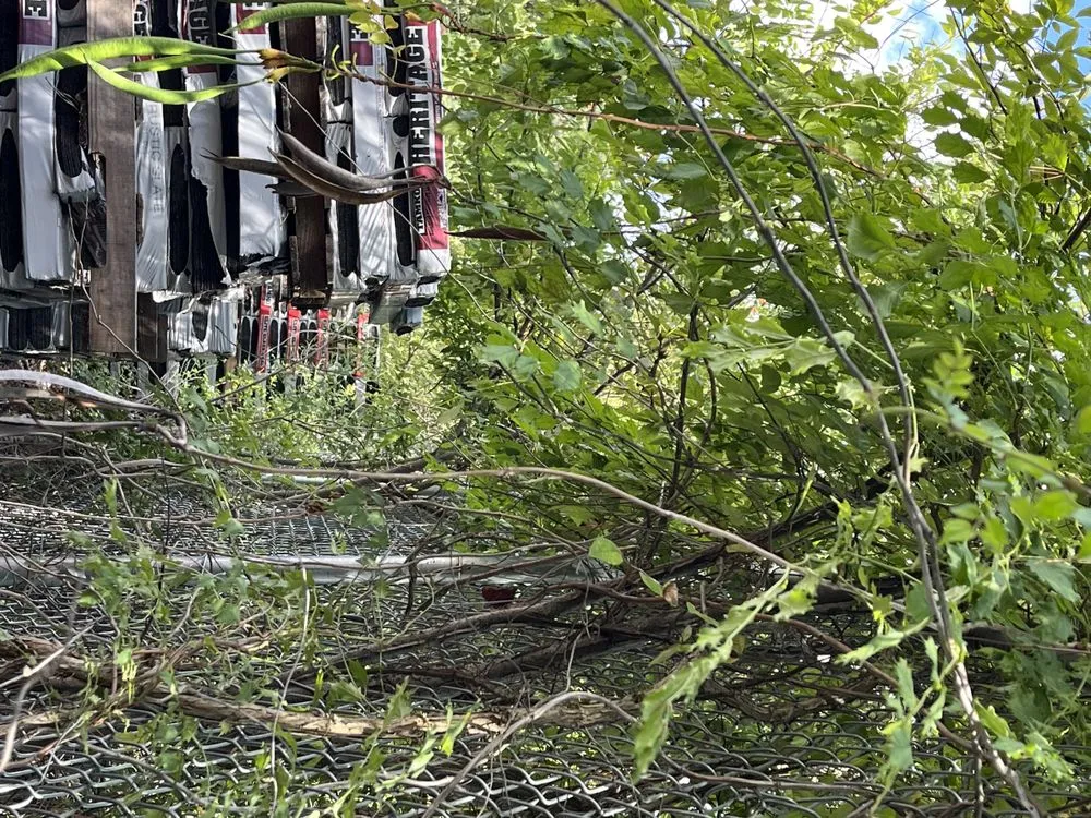 Trusted landscape design for year-round maintenance in Forest Park, GA by Anderson Lawn Care