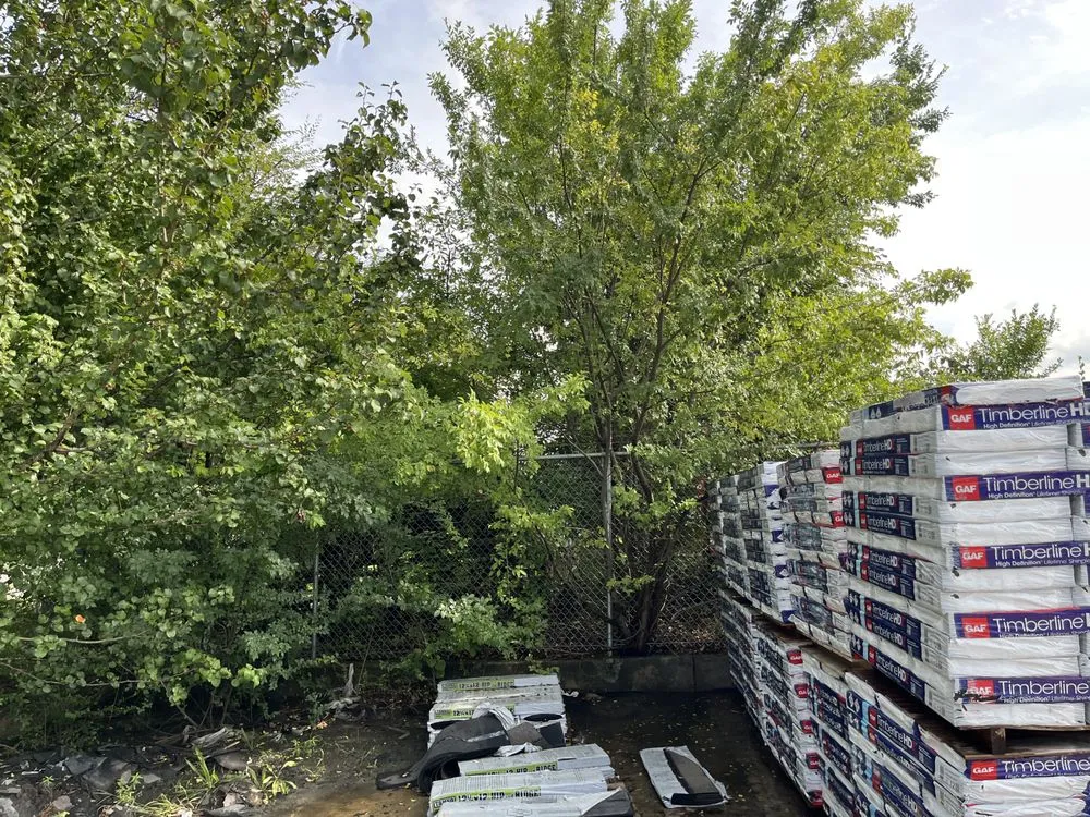 Top-rated lawn mowing service experts serving Forest Park, GA - Anderson Lawn Care