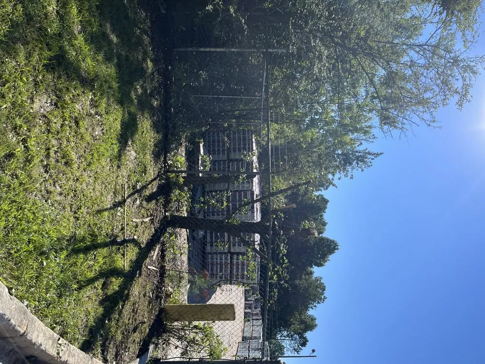 Trusted lawn mowing service experts serving Forest Park, GA - Anderson Lawn Care