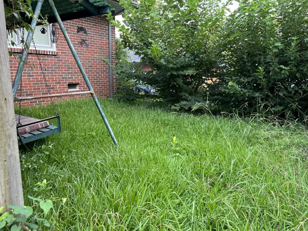 Expert outdoor landscaping for beautiful yards in Forest Park, GA by Anderson Lawn Care