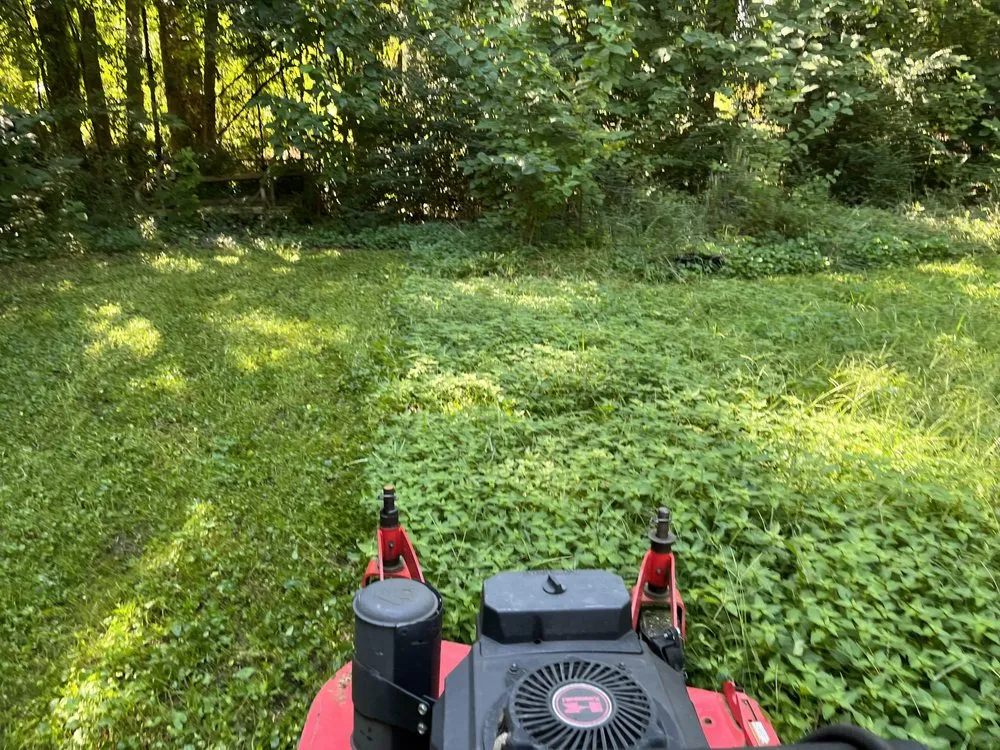 Local residential landscaping for homes across Forest Park, GA - Anderson Lawn Care