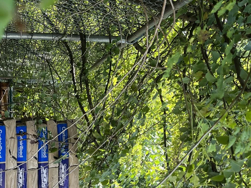 Affordable outdoor landscaping in Forest Park, GA - Anderson Lawn Care