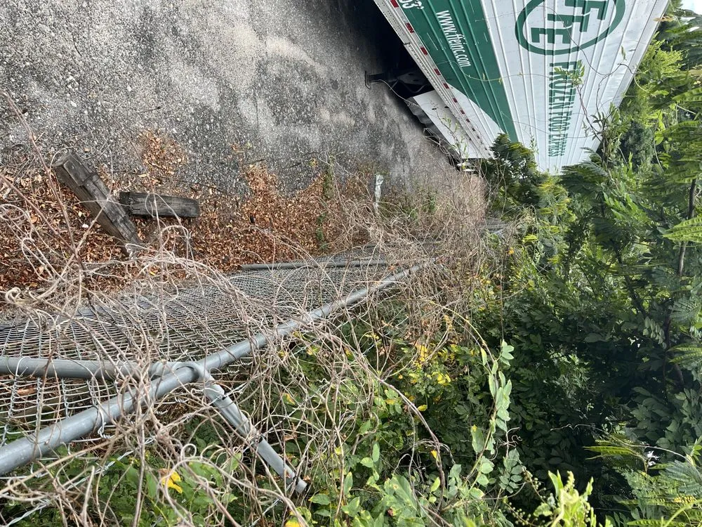 Custom yard maintenance for year-round maintenance in Forest Park, GA by Anderson Lawn Care