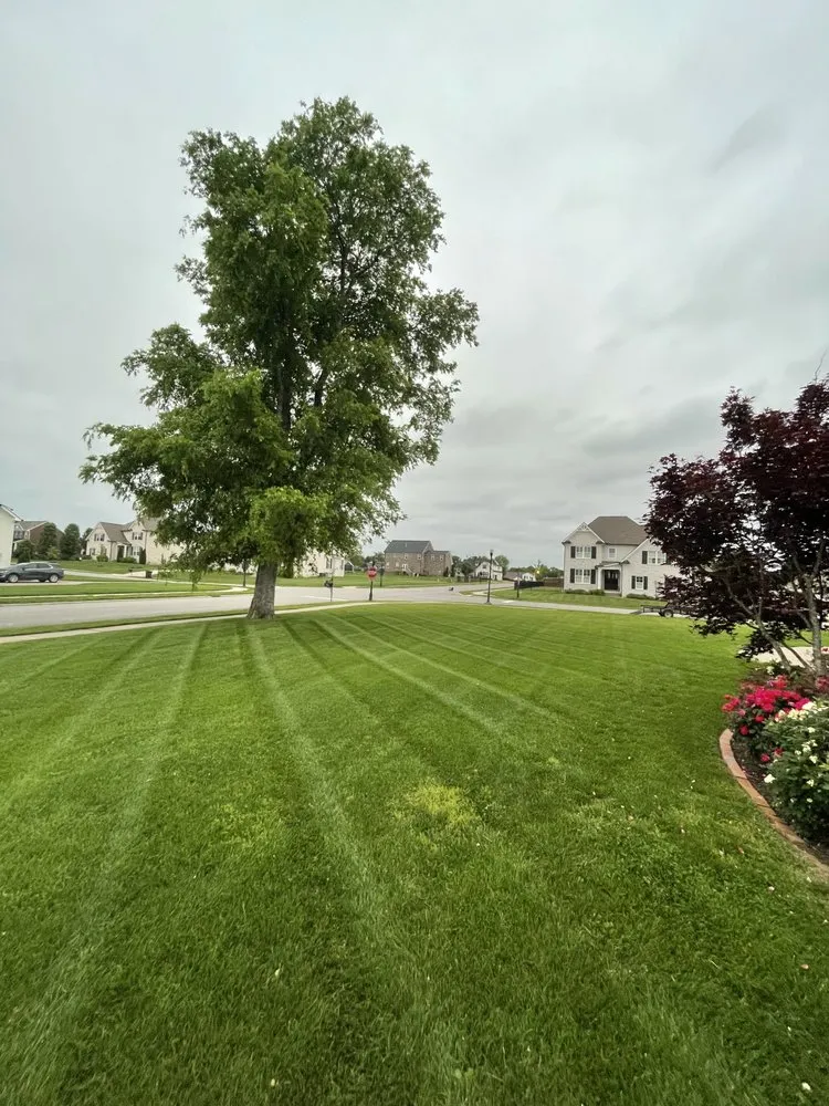 Professional residential landscaping for outdoor upgrades in Gallatin, TN by Anderson Lawn Care