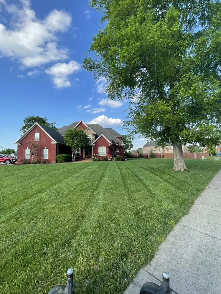 Expert yard cleanup service for residential properties across Gallatin, TN - Anderson Lawn Care