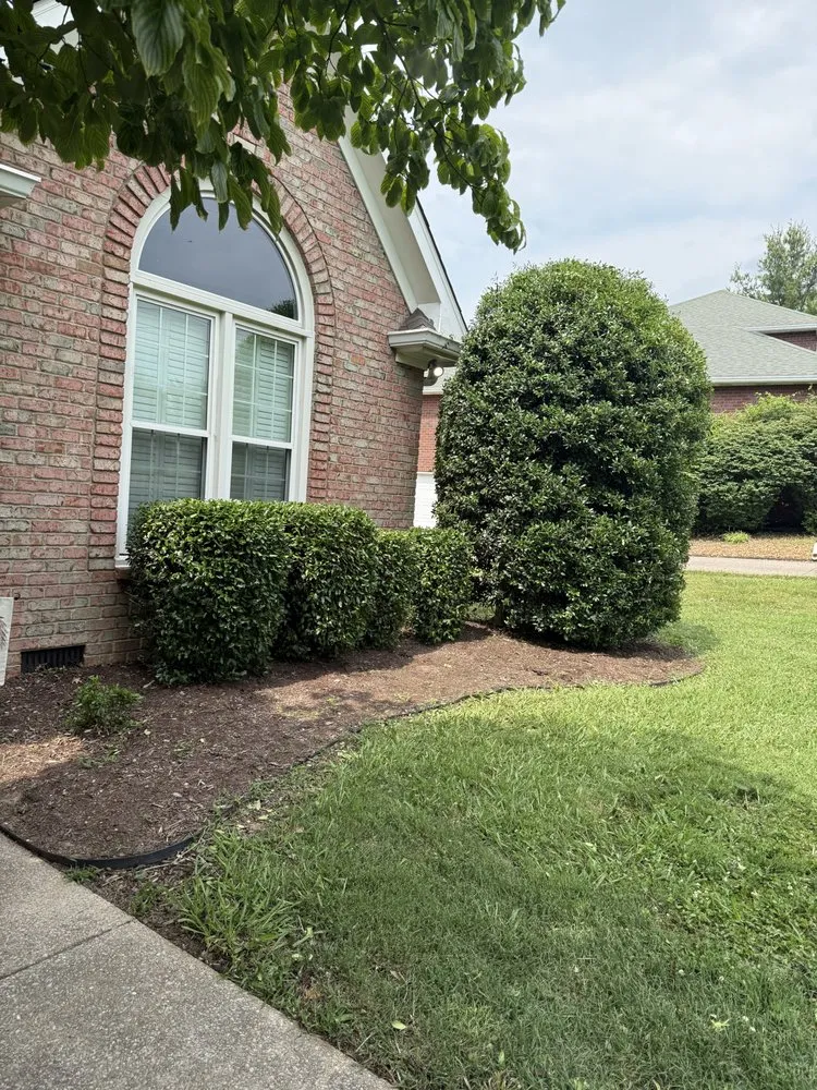 Professional landscape installation in Gallatin, TN - Anderson Lawn Care