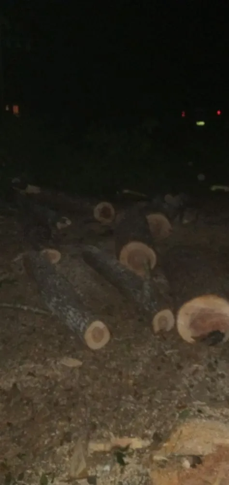 Reliable landscaping services for outdoor upgrades in Robertsdale, AL by Anderson Lawn Maintenance and Pressure Washing