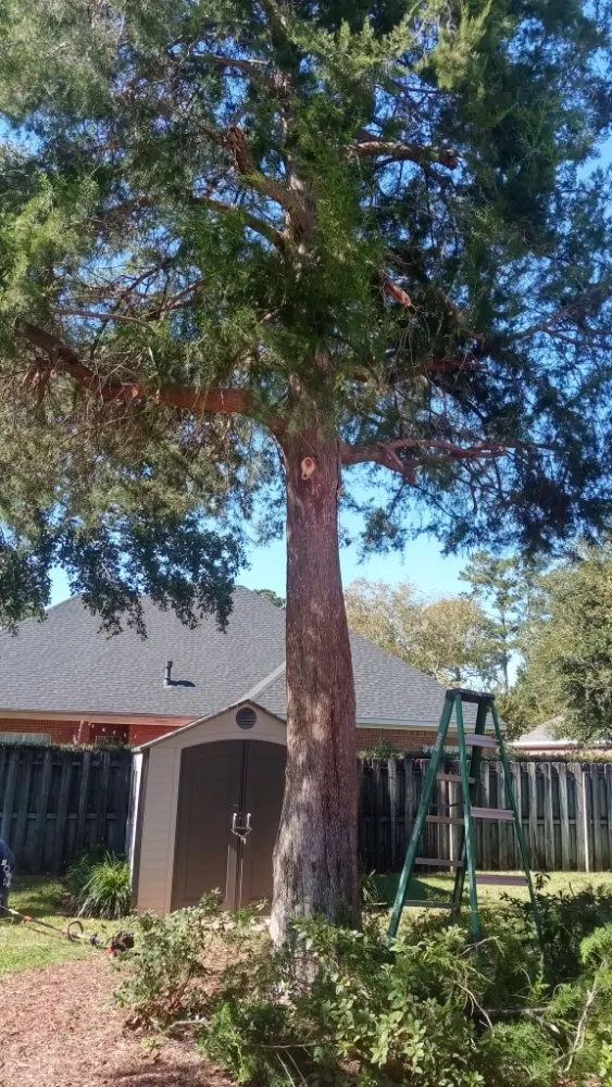 Custom landscaping services in Robertsdale, AL - Anderson Lawn Maintenance and Pressure Washing