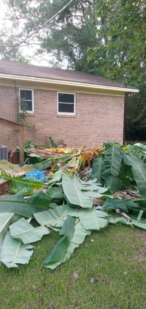 Top-rated landscape design near you in Robertsdale, AL by Anderson Lawn Maintenance and Pressure Washing