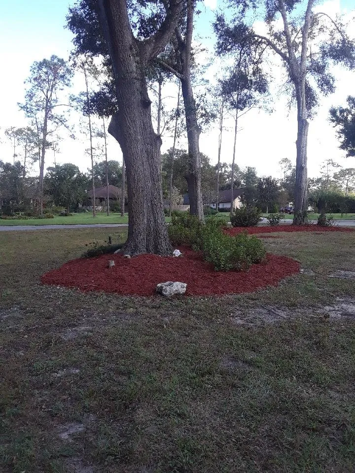 Custom yard maintenance in Ocala, FL by Anderson Outdoor Living