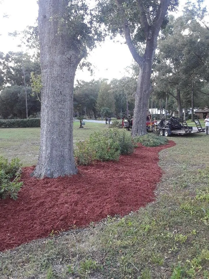 Custom yard cleanup service in Ocala, FL - Anderson Outdoor Living