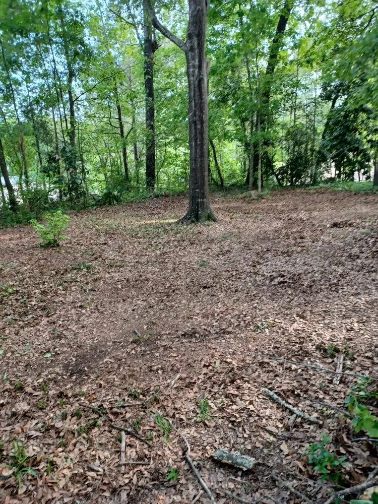 Affordable lawn mowing service for year-round maintenance in Columbus, GA by Anderson Property Clear-Out Services