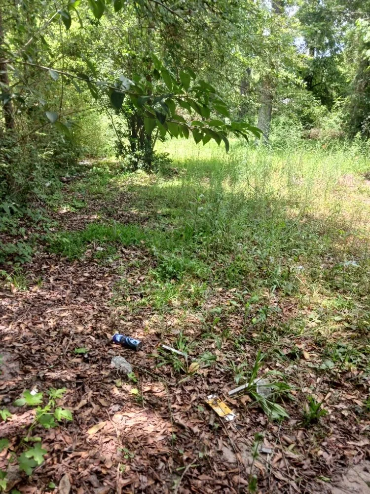 Affordable outdoor landscaping for outdoor upgrades across Columbus, GA - Anderson Property Clear-Out Services