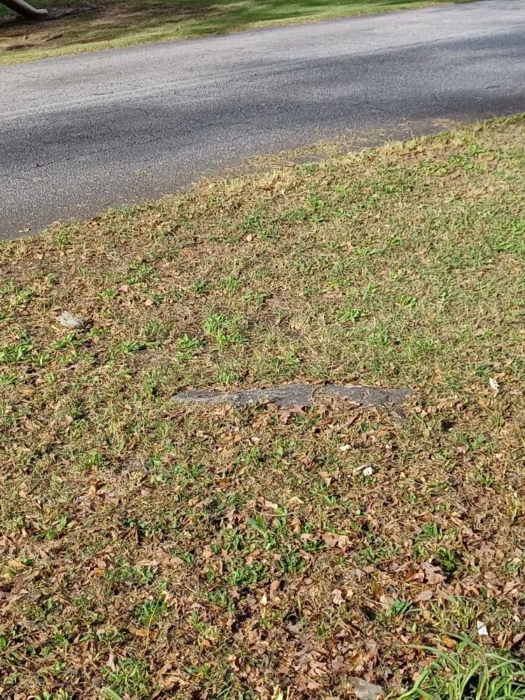 Local landscaping services for year-round maintenance across Columbus, GA - Anderson Property Clear-Out Services