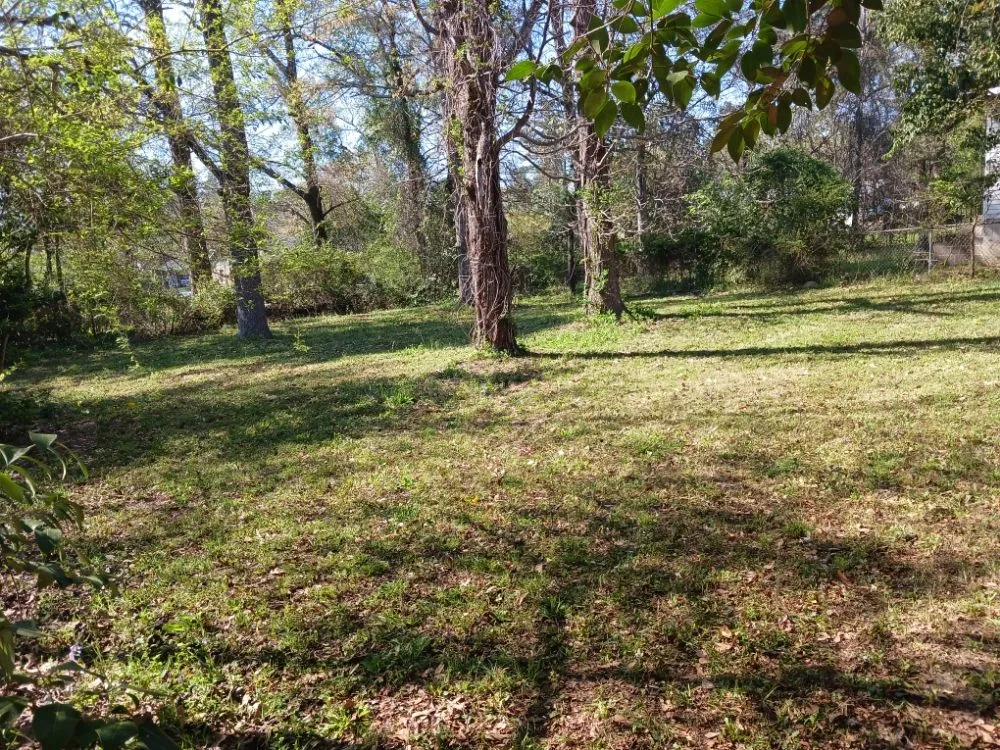 Professional yard cleanup service for outdoor upgrades across Columbus, GA - Anderson Property Clear-Out Services