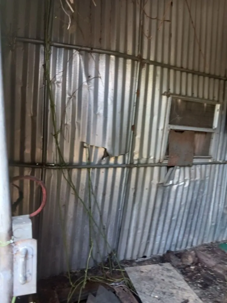 Affordable landscaping services in Columbus, GA - Anderson Property Clear-Out Services