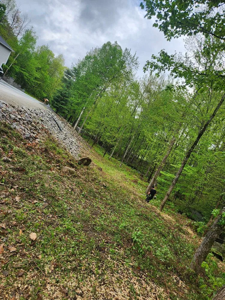 Affordable landscaping services for beautiful yards in Hooksett, NH by Anderson Services