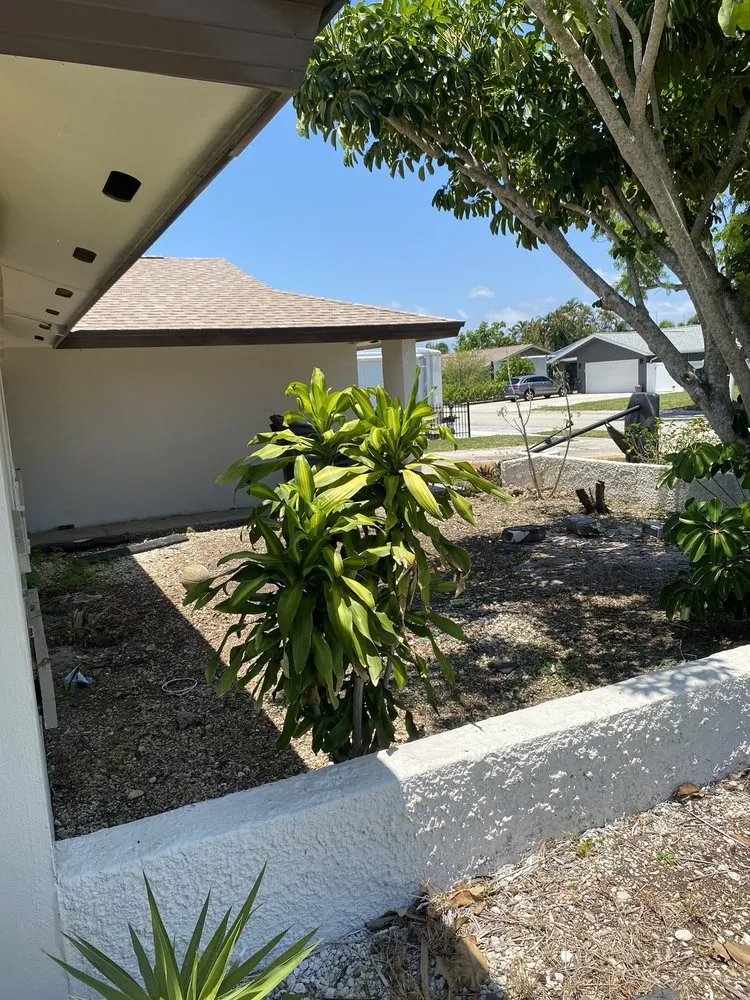 Local lawn care service experts serving Fort Myers, FL - Anderson Strong Lawn And Landscaping