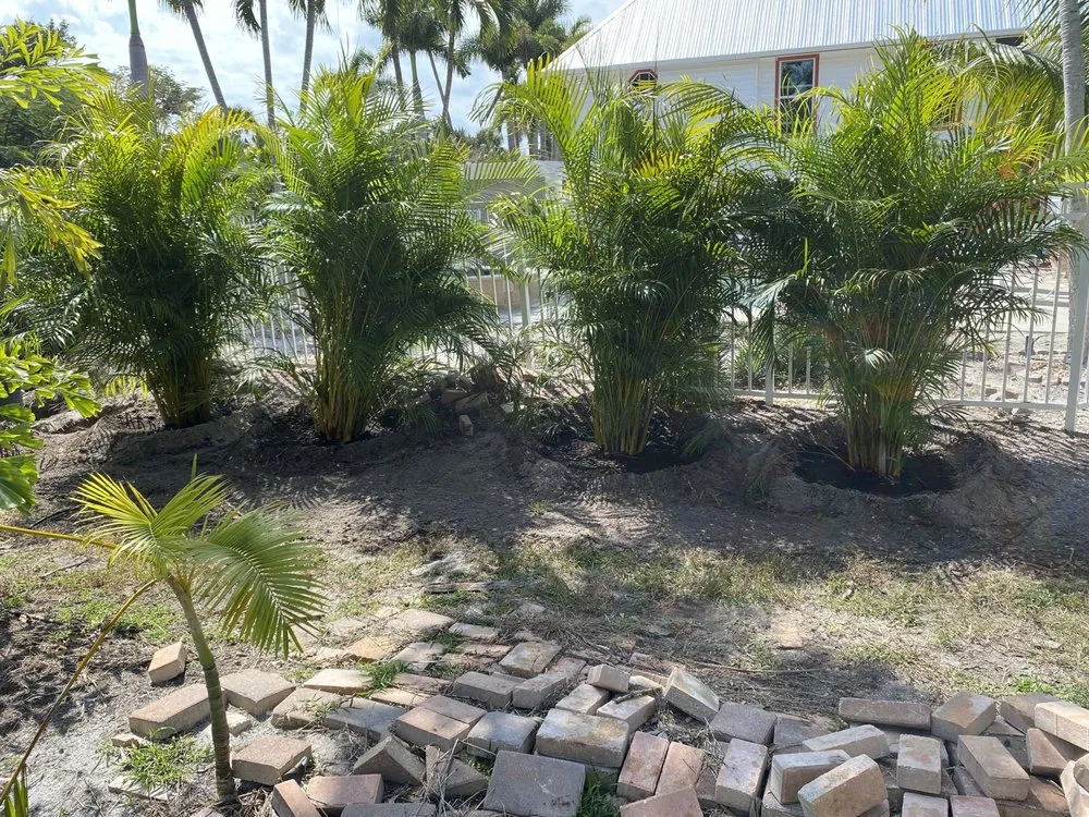 Reliable yard cleanup service for year-round maintenance across Fort Myers, FL - Anderson Strong Lawn And Landscaping