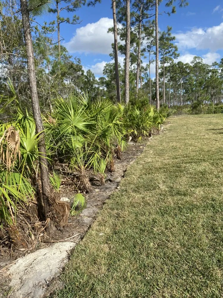 Local yard cleanup service in Fort Myers, FL - Anderson Strong Lawn And Landscaping