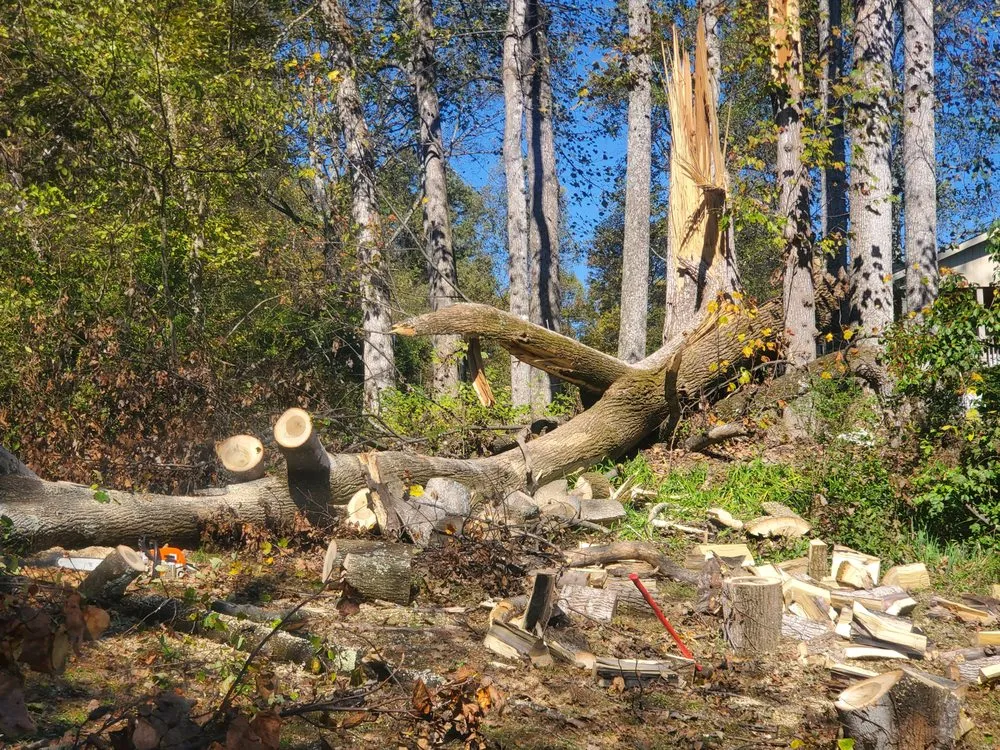 Local yard cleanup service for homes in Bristol, TN by Anderson Tree & Landscaping Service