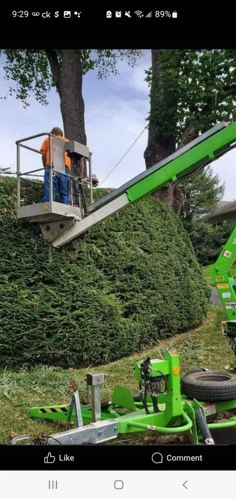 Affordable landscape design experts serving Bristol, TN - Anderson Tree & Landscaping Service