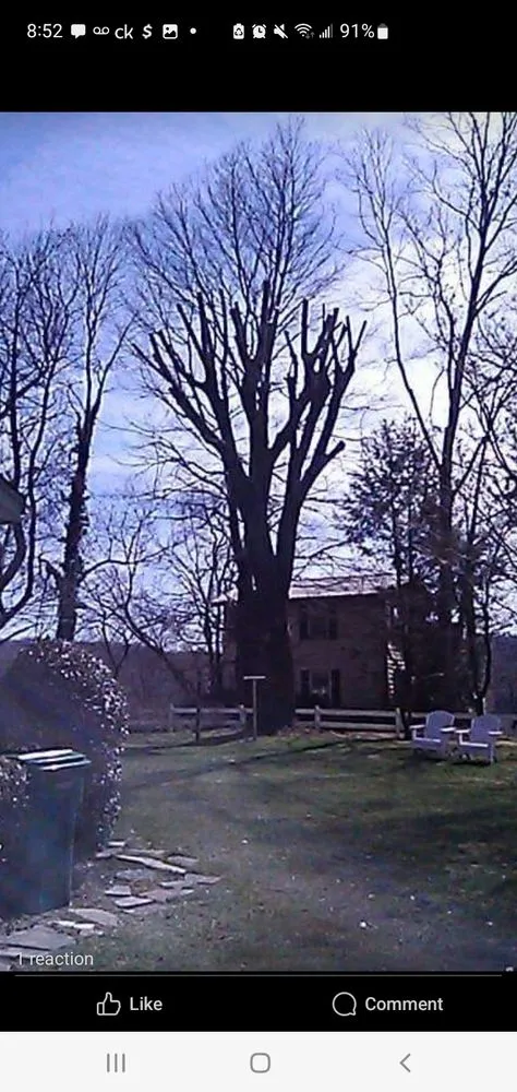 Expert landscaping services in Bristol, TN - Anderson Tree & Landscaping Service