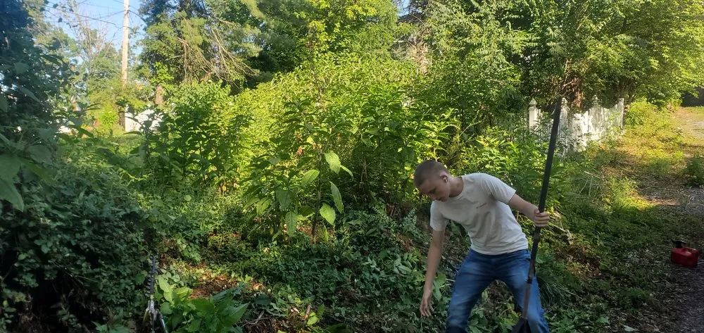 Custom yard maintenance for beautiful yards in Bristol, TN by Anderson Tree & Landscaping Service