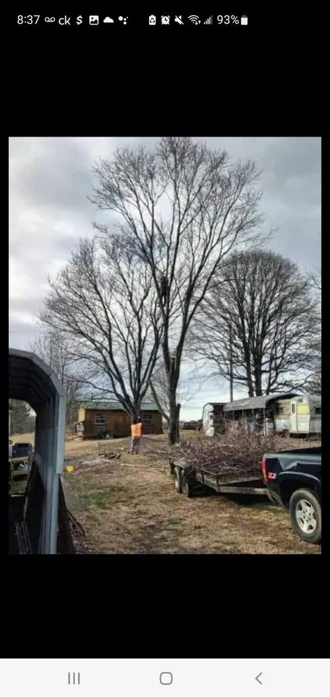 Reliable landscape design for homes in Bristol, TN by Anderson Tree & Landscaping Service