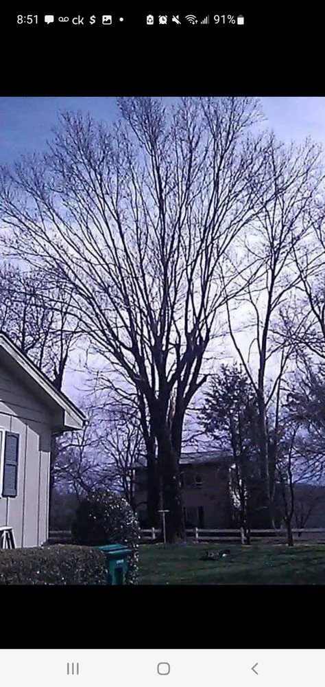 Affordable yard maintenance in Bristol, TN by Anderson Tree & Landscaping Service