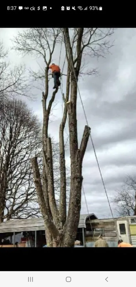 Custom lawn mowing service in Bristol, TN by Anderson Tree & Landscaping Service