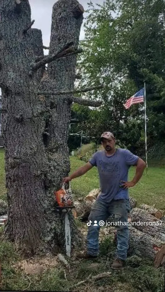 Top-rated lawn care service in Bristol, TN - Anderson Tree & Landscaping Service