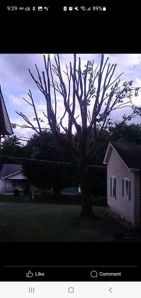 Top-rated landscape installation for beautiful yards across Bristol, TN - Anderson Tree & Landscaping Service