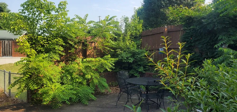 Custom landscaping services in Bristol, TN by Anderson Tree & Landscaping Service