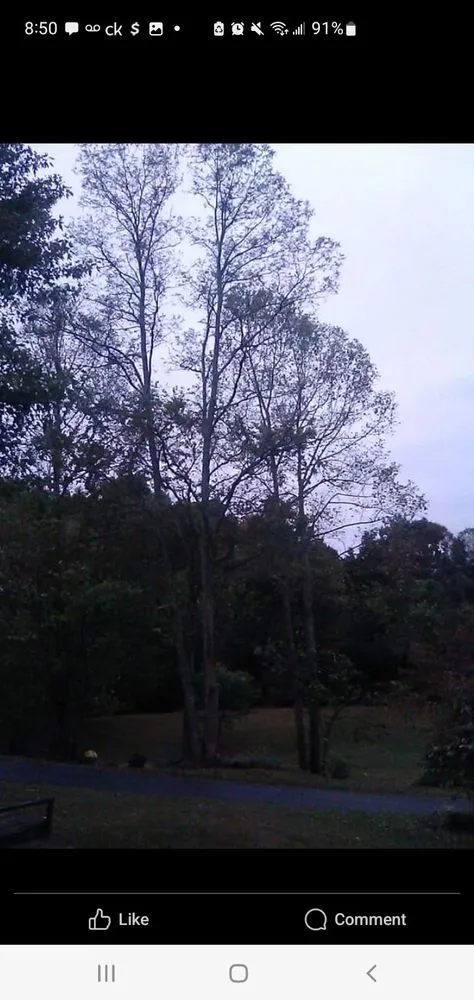 Reliable landscape design experts serving Bristol, TN - Anderson Tree & Landscaping Service